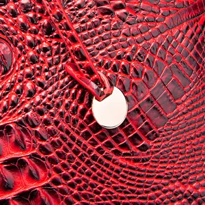 Detalle de bolso vintage rojo con textura de cocodrillo en relieve 3D y etiqueta dorada.