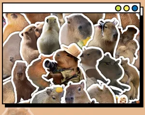 Cute capybara stickers set, realistic animal waterproof decorative decals for journal DIY crafts.