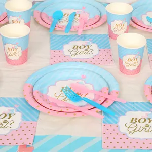 Vue détaillée de l'ensemble de vaisselle de fête rose et bleu pour révélation de genre