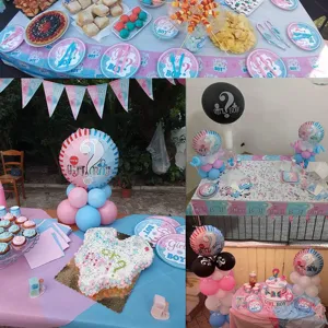 Gender Reveal Party Dekorationsset mit Boy or Girl Geschirr und bunten Ballons