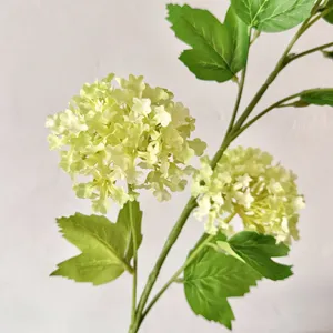 Gedetailleerde close-up van lichtgroene kunstmatige sneeuwbalhortensia blaadjes en bladeren