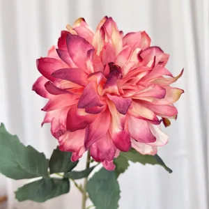Macro detail of artificial dahlia head with vintage burnt edge pink and purple petals