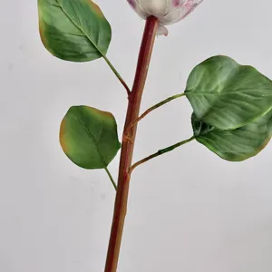 Close-up macro view of artificial Protea bud stem featuring realistic green leaves detail