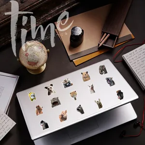 Détail d'autocollants d'animaux drôles sur un ordinateur portable avec accessoires de bureau.
