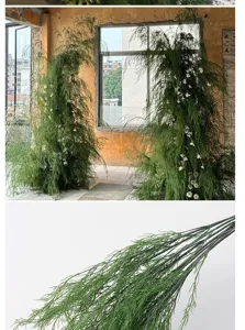 Close-up and scene detail of decorative artificial asparagus fern greenery.