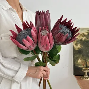 Detailed view of dark pink artificial King Protea flowers held in hand for home decor
