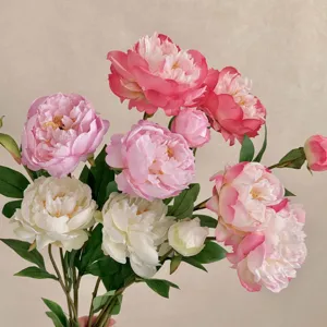 Nahaufnahme von eleganten künstlichen Pfingstrosen in Rosa und Weiß mit Seidentextur.