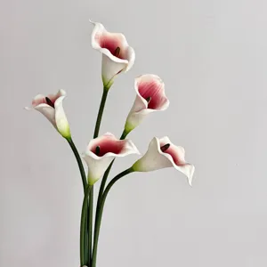 Gros plan de cinq lys calla en PU réalistes avec des pétales dégradés rose et blanc