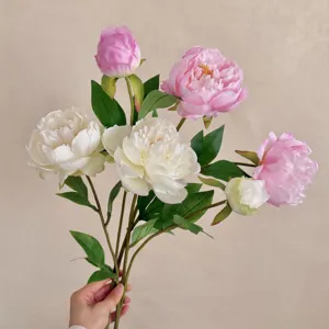 Detail von künstlichen rosa und weißen Pfingstrosen, gehalten vor einer beigen Wand