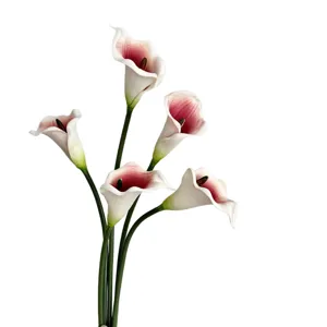 Un bouquet de cinq lys calla artificiels en PU avec centre rose foncé sur fond blanc