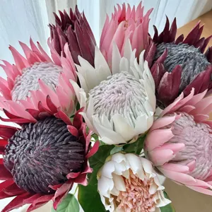Close-up macro detail of colorful artificial King Protea bouquet in pink, white, and burgundy