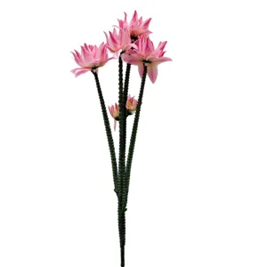 Hoogwaardige kunstmatige Euphorbia milii bloemstengel voor huis- en bruiloftdecor