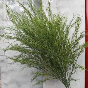 Detailed view of dense green artificial asparagus grass branches for decor