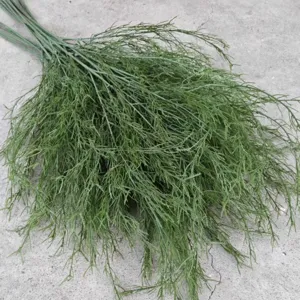 Detailed view of realistic artificial asparagus fern greenery for wedding and home decor