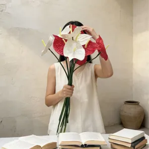 Artistic lifestyle shot of a person holding large red and white EVA Anthurium flowers.