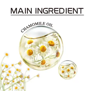 Detailed close-up showing pure chamomile oil droplets with fresh flowers inside