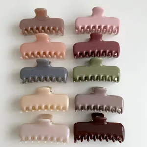 Set de 10 pinzas para el cabello minimalistas de tamaño mediano en varios colores neutros