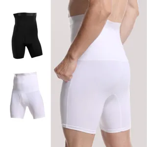 Men's High Waist Boxer Briefs Solid Color Nylon Spandex Breathable Tummy Control Comfortable Boxer Shorts Underwear
