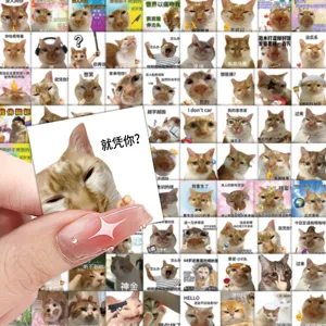 96pcs Asteia Aftokollita Portokali Gatas Meme PVC Imerologio DIY Grafiki Decor