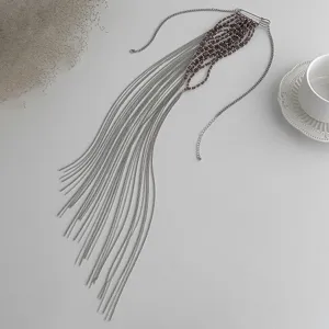 Vista dettagliata di una collana con spilla e nappa argentata con perline su bianco.