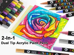 Dubbelzijdige acryl verfstiften set om te tekenen, watergedragen markers voor canvas en stenen.