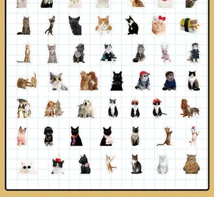 Autocollants réalistes chat et chien aux expressions mignonnes pour déco de scrapbooking.