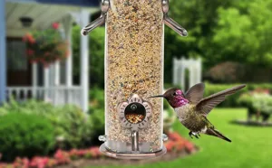 Outdoor hanging metal bird feeder with transparent seed container and flower port.