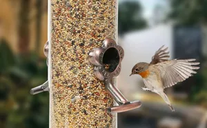Outdoor clear tube bird feeder with metal flower port and seed mix for garden yard wildlife.
