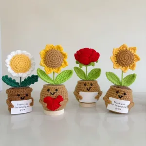 Handmade crochet emotional support plants with smiling faces and cute gift cards
