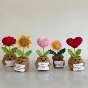 Handmade Crochet Potted Plant Cute Knitted Flower Desk Decor Emotional Support Gift With Encouragement Card