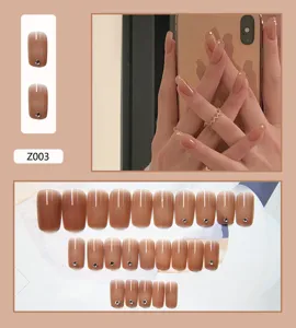 Lot professionnel de 24 faux ongles dégradés marron nude avec détails en strass brillants