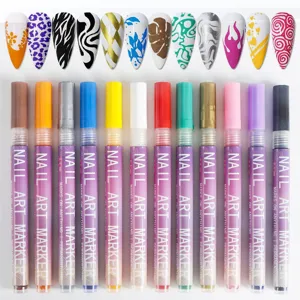 12-color professional nail art markers set with 0.5mm fine tips and sample nail designs