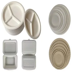 Detail view of various eco-friendly white disposable pulp plates and food containers