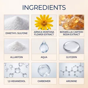 Detaillierte Inhaltsstoffe des Gelenkmassagegels mit Arnika und Boswellia-Extrakt