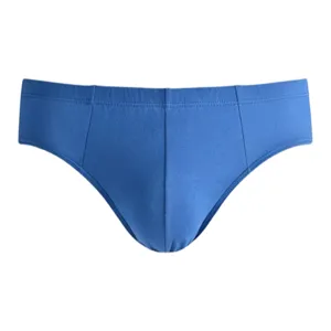 Men's breathable cotton briefs in solid blue with a minimalist seamless design