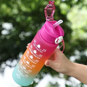 Close-up of a 750ml frosted gradient sports water bottle with time markers and straw.