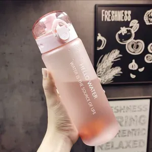 Portable frosted plastic sports water bottle with flip lid and safety lock for outdoor gym.