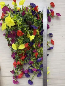 Detailed view of colorful artificial morning glory hanging flowers with a 55cm ruler.