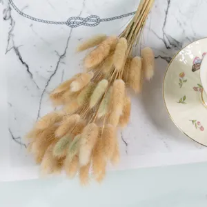 Primer plano de ramo de cola de conejo seca, textura esponjosa, ideal para decoración.