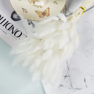 Ramo de hierba de cola de conejo seca blanca, tallos esponjosos para decoración y accesorios de foto.