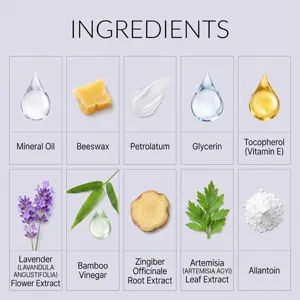 Herbal foot patch ingredients detail graphic showing natural plant extracts and oils.
