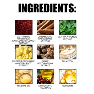 Detailed ingredient list for XIMONTH travel relief patch featuring herbal plant extracts