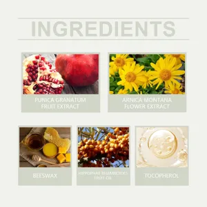 Infographie détaillée des ingrédients aux extraits de plantes pour formule de soins.