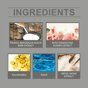 Infographie détaillée des ingrédients naturels et des actifs de soins pour la peau.