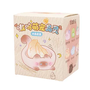 Vue détaillée macro de la boîte d'emballage colorée Aowu Cute Pet Crystal Spirit Blind Box