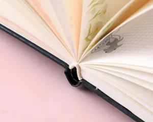 Primo piano dettagliato delle pagine interne, illustrazioni carine e griglia, rilegatura.
