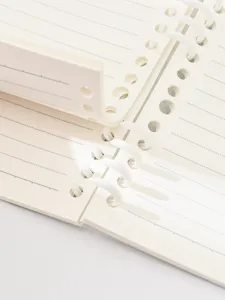Detailed close-up of loose leaf notebook with segmented white rings and lined cream paper.