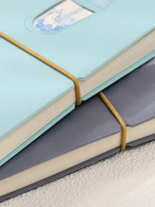 Gros plan de carnets de notes mignons sur le thème des chats avec élastique de serrage