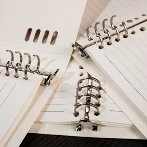Loose-leaf binder notebook with lined pages and metal rings for school and office use.