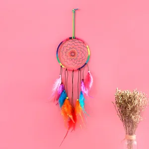 Kleurrijke dromenvanger met gemengde veren, perfecte wanddecoratie voor in huis.